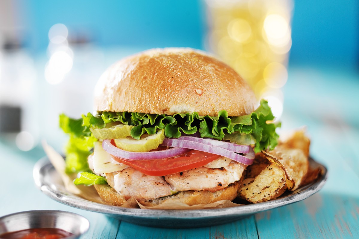 Grilled chicken sandwich