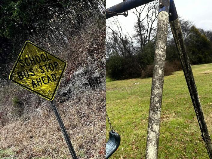 black mold lincoln county tennessee