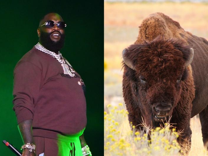 Rick Ross, left, wears a burgundy tracksuit while standing on a stage with a dark green backdrop.  A brown buffalo, right, faces a bunch of yellow flowers while standing in a large brown field