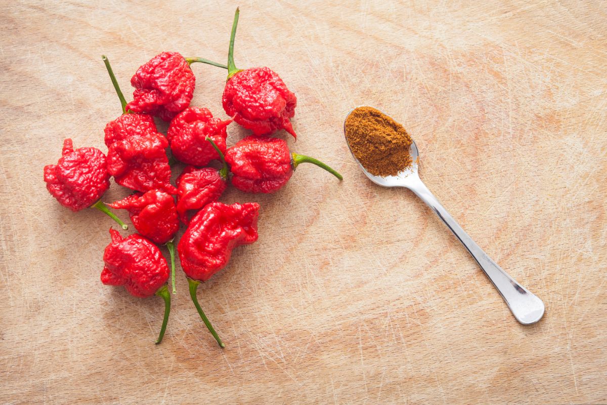 Carolina Reaper Hot Peppers