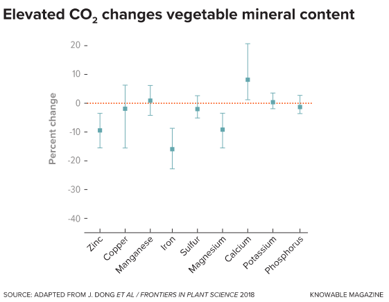 When vegetables are grown under elevated levels of carbon dioxide, they tend to grow larger and sweeter and may contain more of some minerals, such as calcium, an analysis of several studies found.  But amounts of other minerals, including zinc and iron, may decrease.