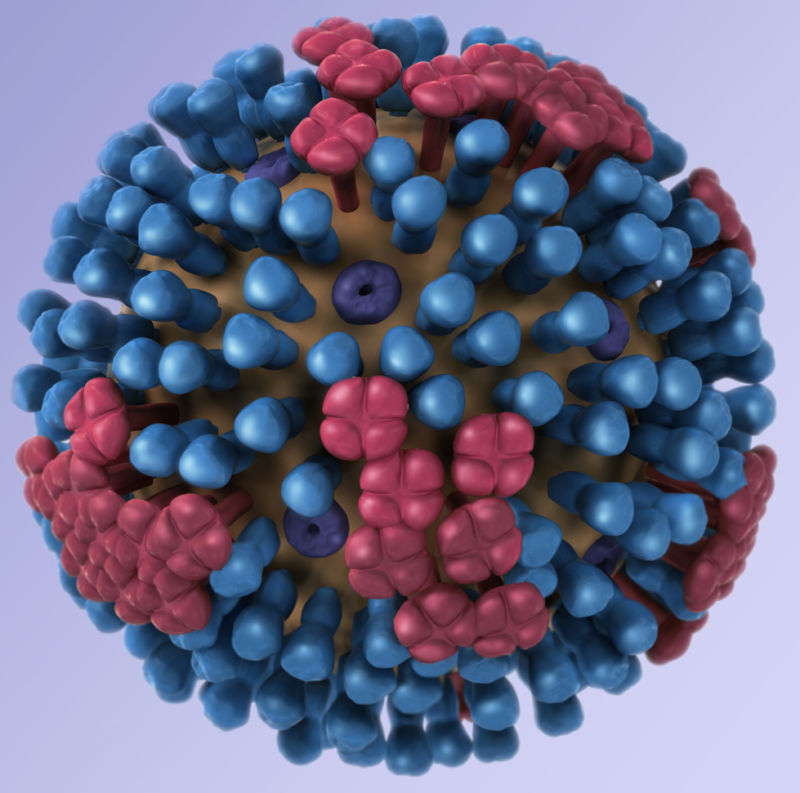 Graphical representation of a virus.