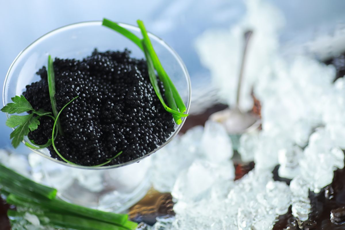 Beluga caviar served with ice cream