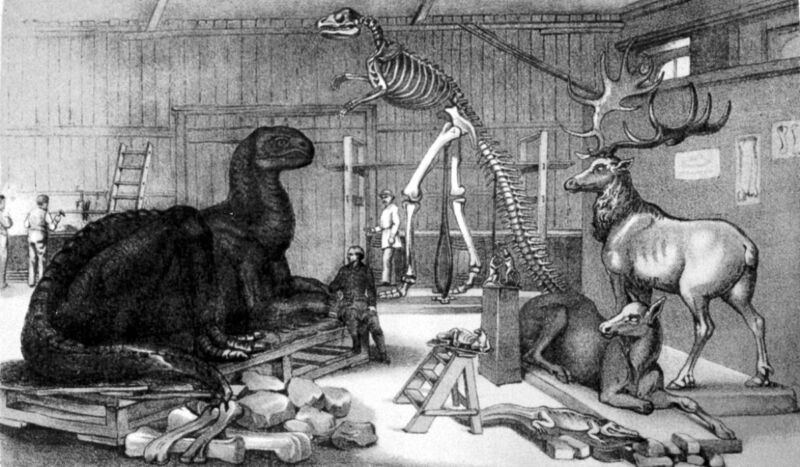 Benjamin Waterhouse Hawkins' studio at the Central Park Arsenal, featuring models of extinct animals