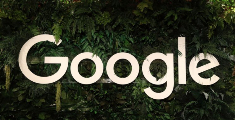 Among the foliage is a large Google logo.