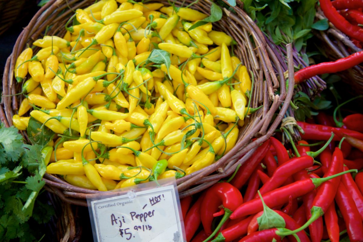 aji-and-cayenne-chili-pepper