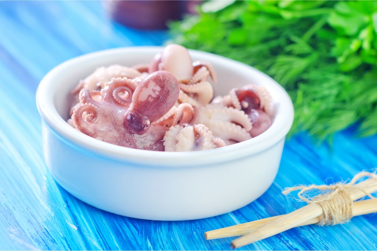 Boiled Octopus Food