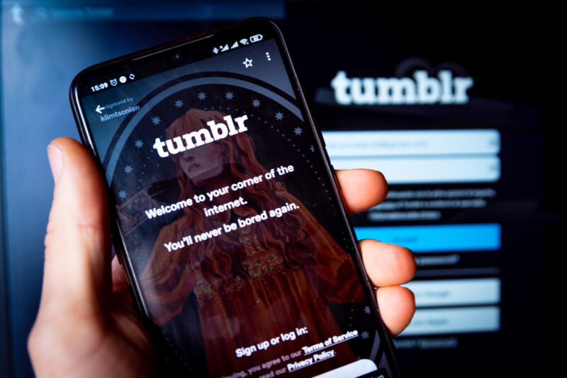 Tumblr app opened on an Android phone